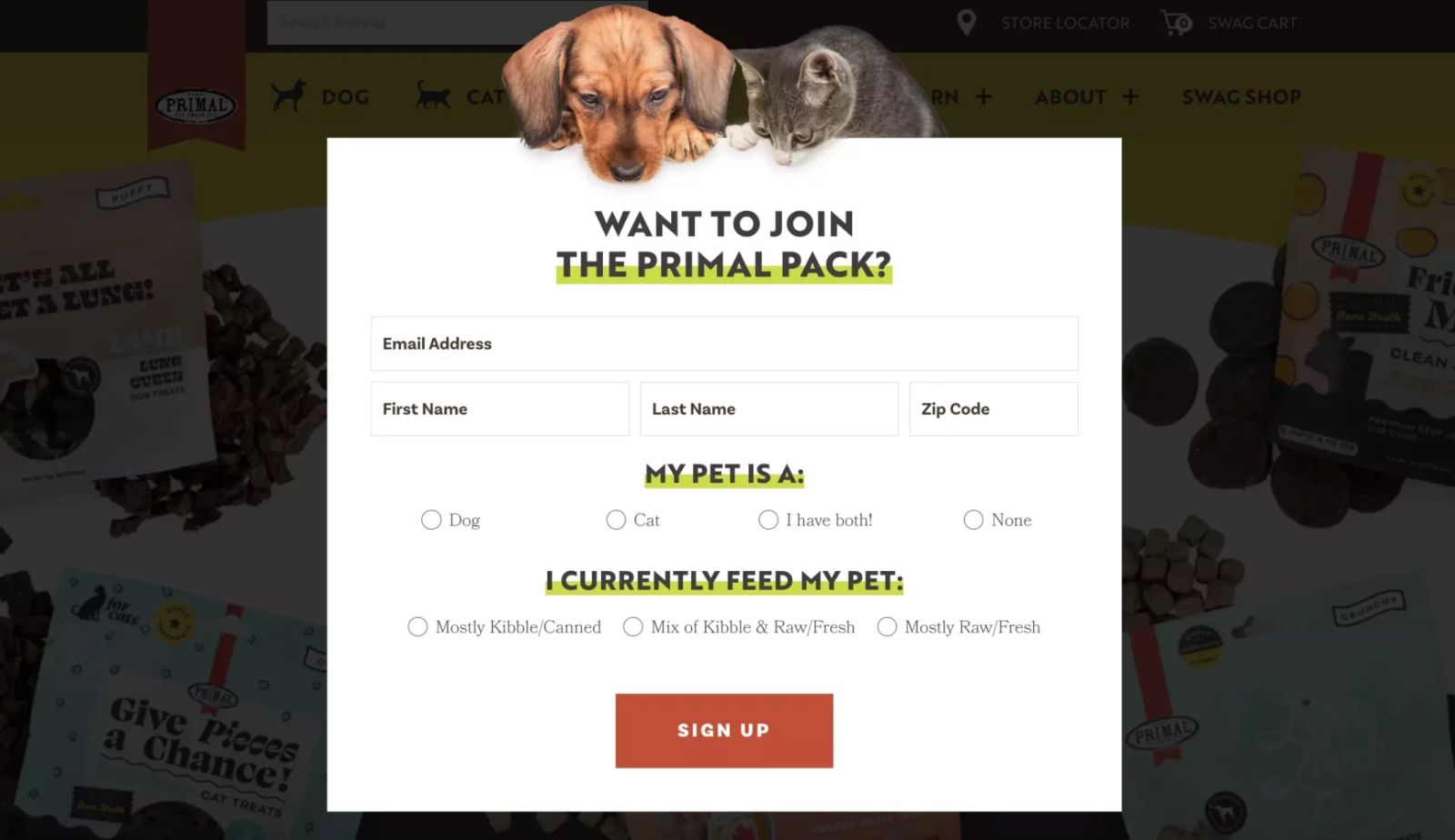 Subscriber Segmentation Popup