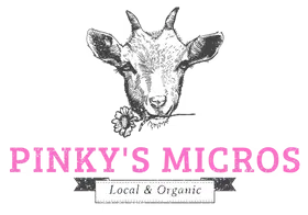 Pinky_s_Micros_logo